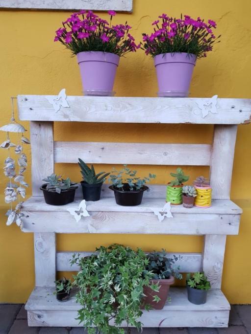 Ostello Citta' Murata Montagnana  Buitenkant foto